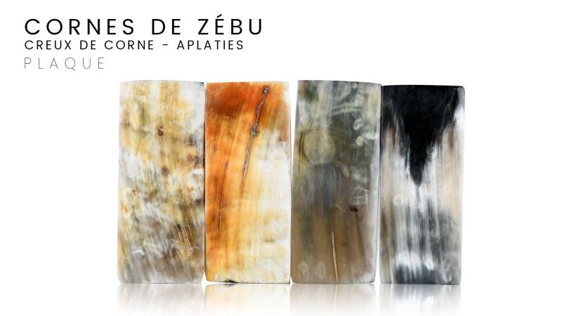 Flache Platte aus Zebrorn - Westafrika - Variable Farben NIOTL59