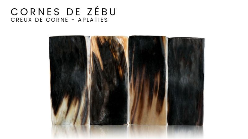 Plaque de creux de corne de zébu aplatie - Afrique de l'Ouest - couleurs variables NIOTL59