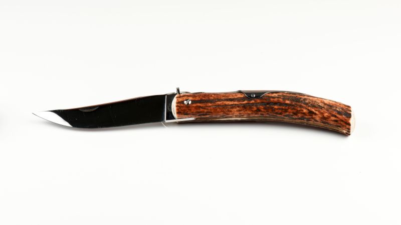 Lote de 5 estancas europeas de ciervo (10-15 cms)