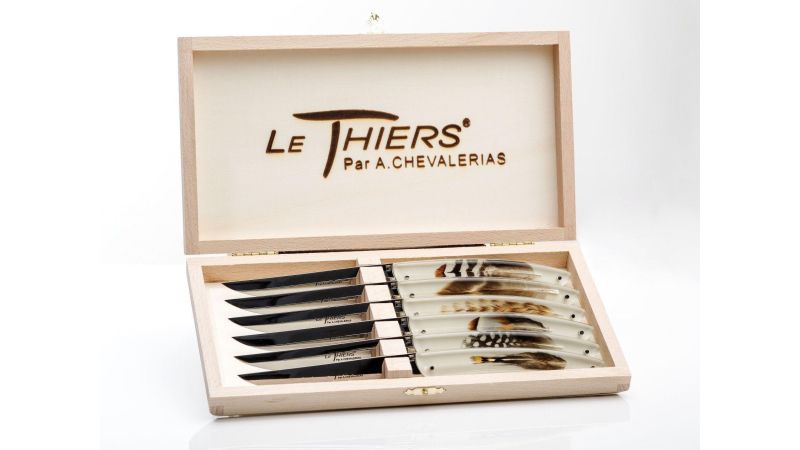 Inclusión de plumas reales de pintada - fondo beige - Resina PMMA - hecho en Francia