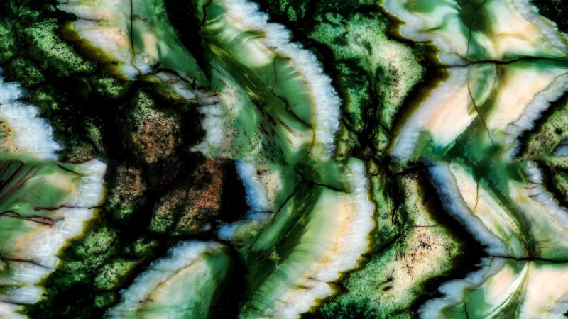 Manici di Molar di Mammut Stabilizzati Raffir - Verde