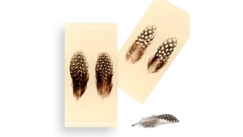 Inclusión de plumas reales de pintada - fondo beige - Resina PMMA - hecho en Francia