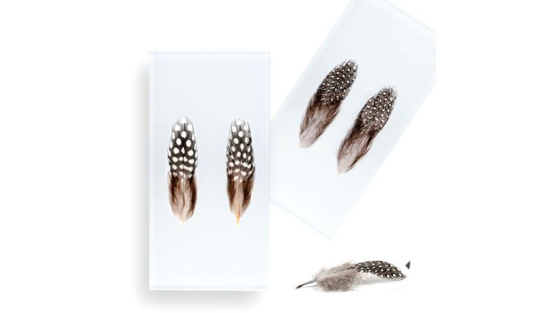 Inclusion de plumes véritable de pintade fond blanc - Résine PMMA - made in France