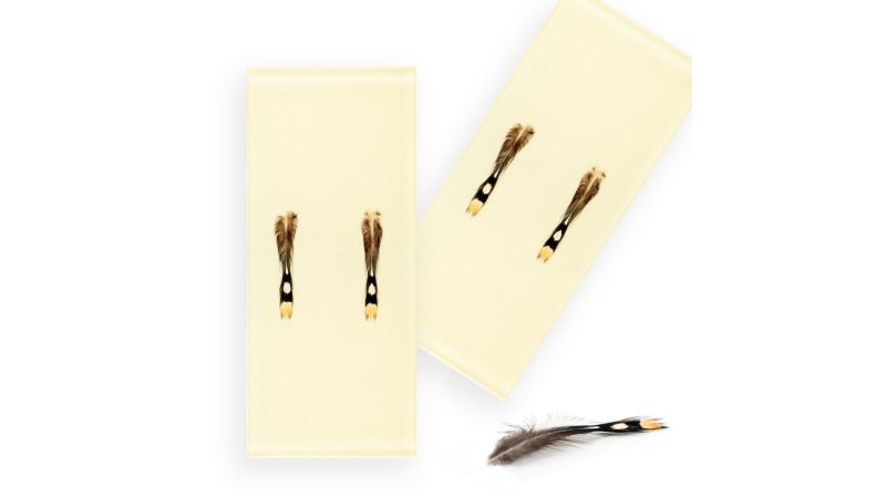 Inclusions de plûmes véritable de jungle coq - Résine PMMA - made in France