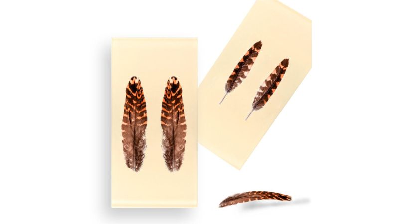 Inclusión de plumas reales de becada - Resina PMMA - hecho a mano en Francia