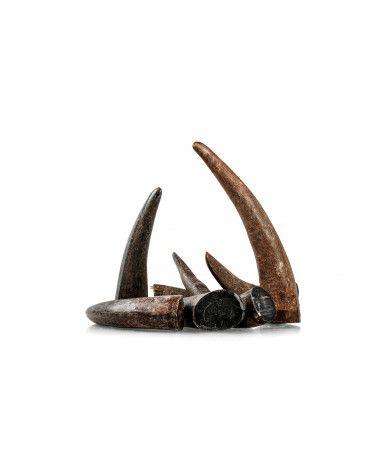 1 kg di punta nera di bufalo