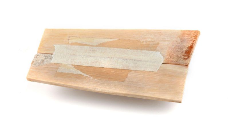 Mango de Pulpa de Mamut