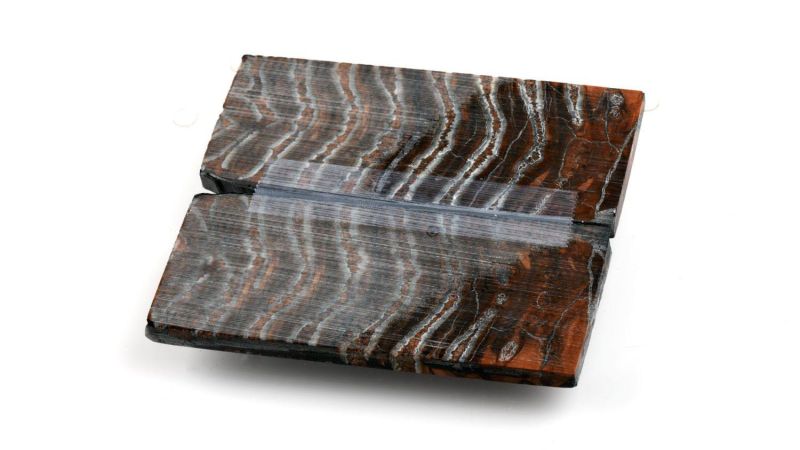 Manche de Molaire de Mammouth stabilisé - marron