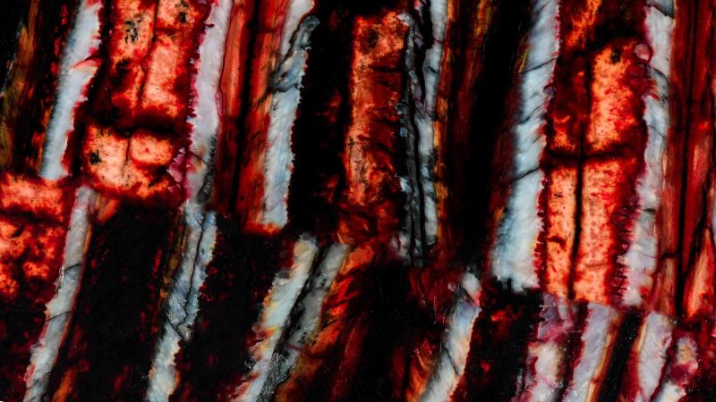 Manches de Molaire de Mammouth stabilisé Raffir - rouge