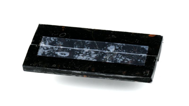Handle of Stabilized Mammoth Molar by Raffir