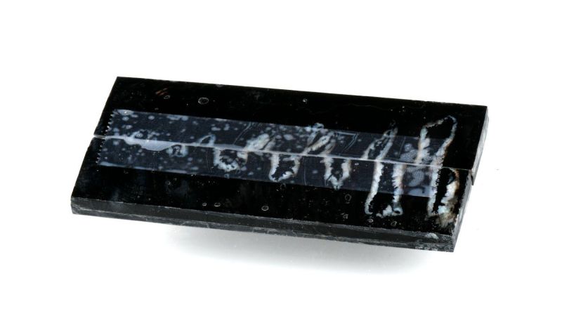 Manche de Molaire de Mammouth stabilisé by Raffir