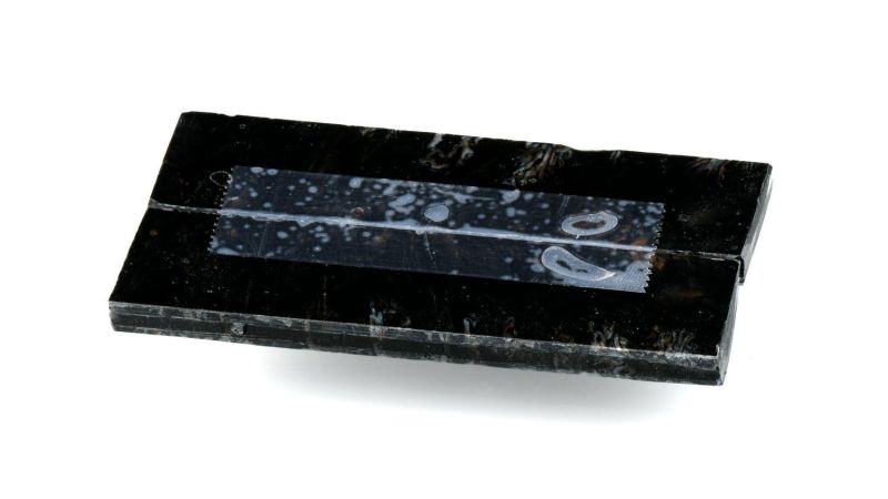 Manche de Molaire de Mammouth stabilisé by Raffir