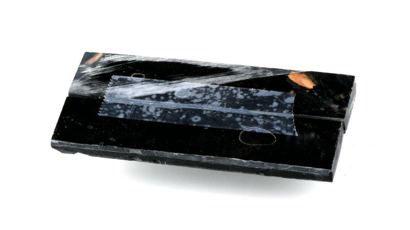 Griff von Mammut Backenzahn stabilisiert von Raffir