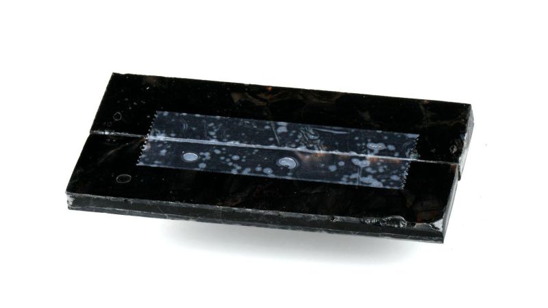 Manche de Molaire de Mammouth stabilisé by Raffir