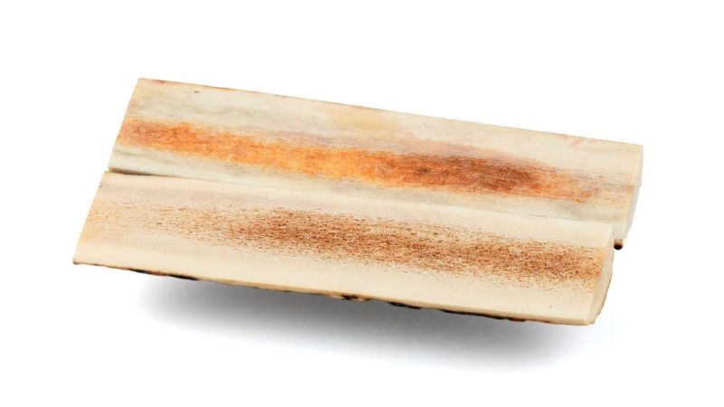 Manche de Cerf Sambar