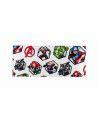 Inclusion Plate with AVENGER Comics Fabric - Made in France - White Background