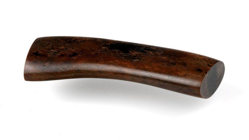 Dyed Section of Walrus Rib - Latin Name: Odobenus rosmarus - Import Permit Europe: 17US16627C/9