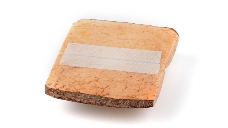 Walrosskiefer - Lateinischer Name: Odobenus rosmarus - Importgenehmigung Europa: 17US16627C/9