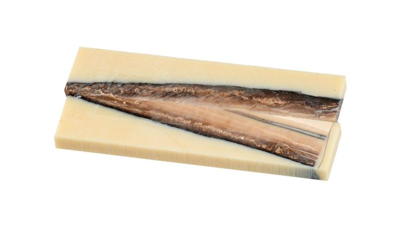 Mango de Pulpa de Mamut Estabilizado