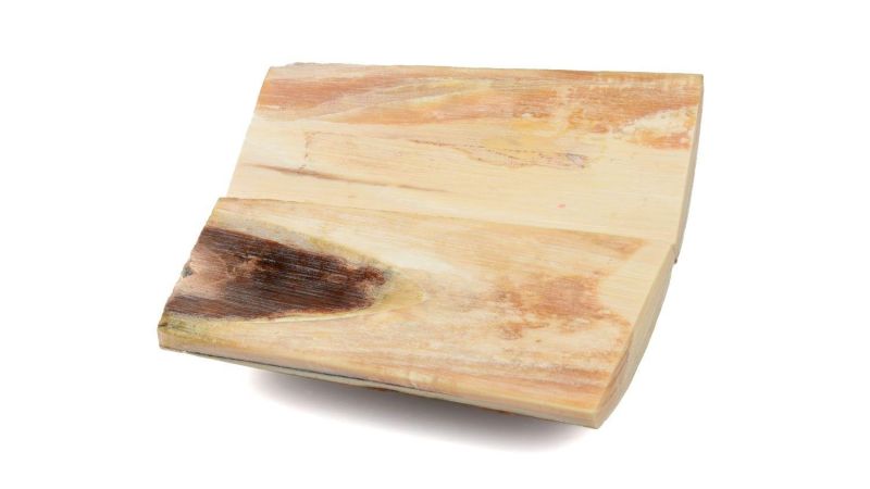 Manche de Mammouth stabilisé