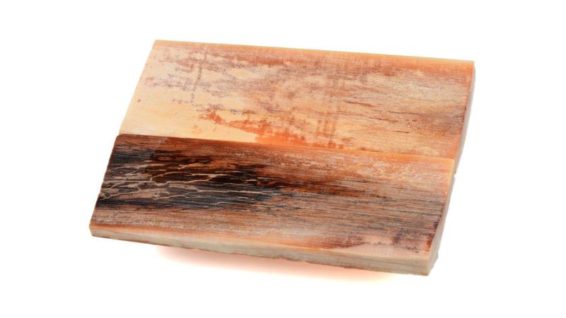 Stabilisierte Mammut Griff