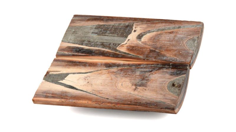 Manche de Mammouth stabilisé