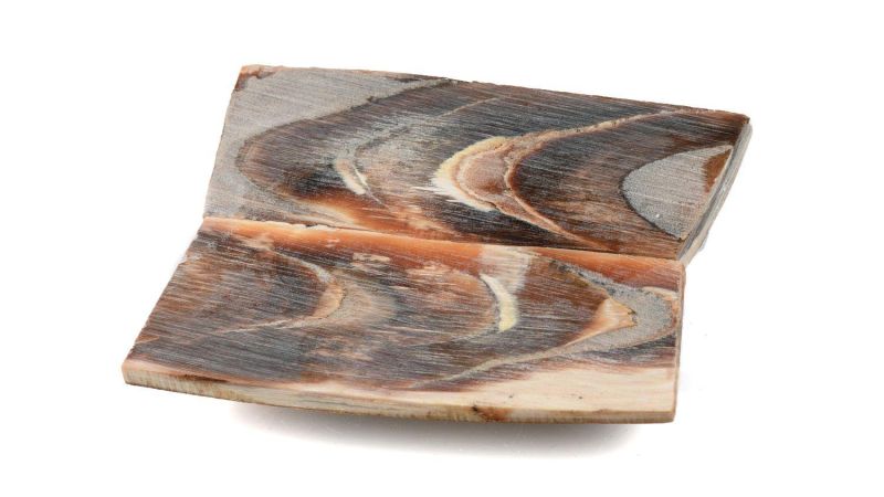 Stabilisierte Mammut Griff