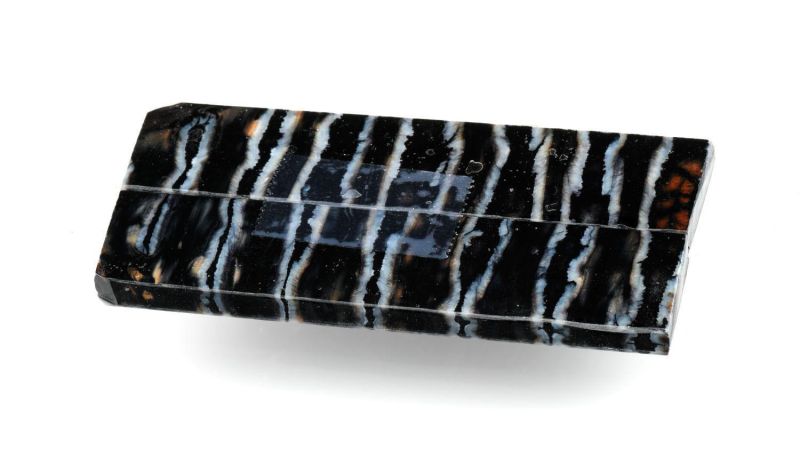 Mango de Molar de Mamut Estabilizado por Raffir - negro