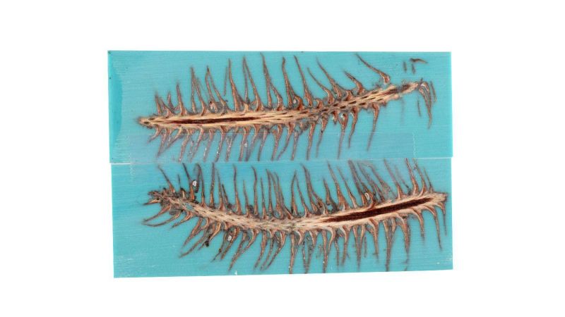 Pine Cone Inclusion Handle - Turquoise Resin