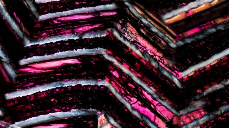 Stabilisierte Mammut-Molargriffe Raffir - Violett