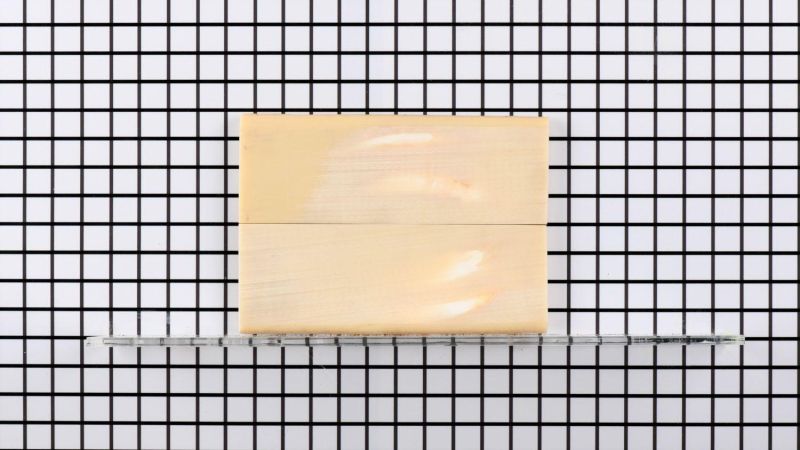 Manche de défense de Phacochère stabilisé - résine beige