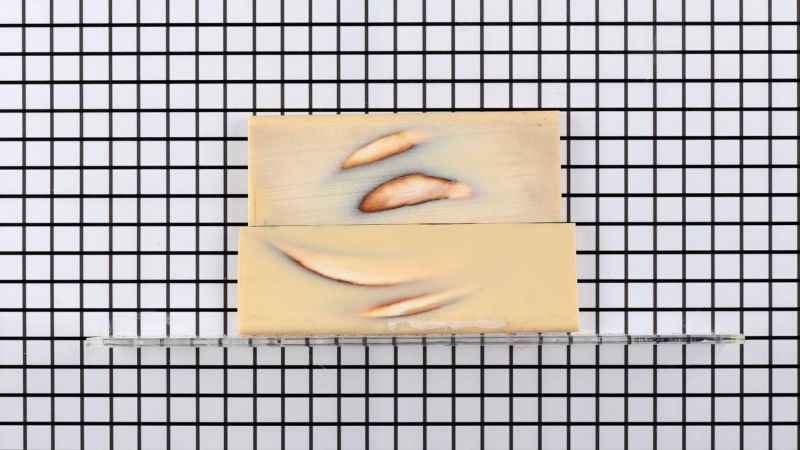 Manche de défense de Phacochère stabilisé - résine beige