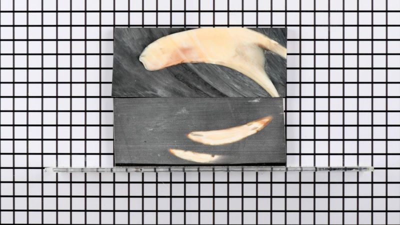 Stabilisierter Warzenschweinzahn-Griff - schwarze Harz