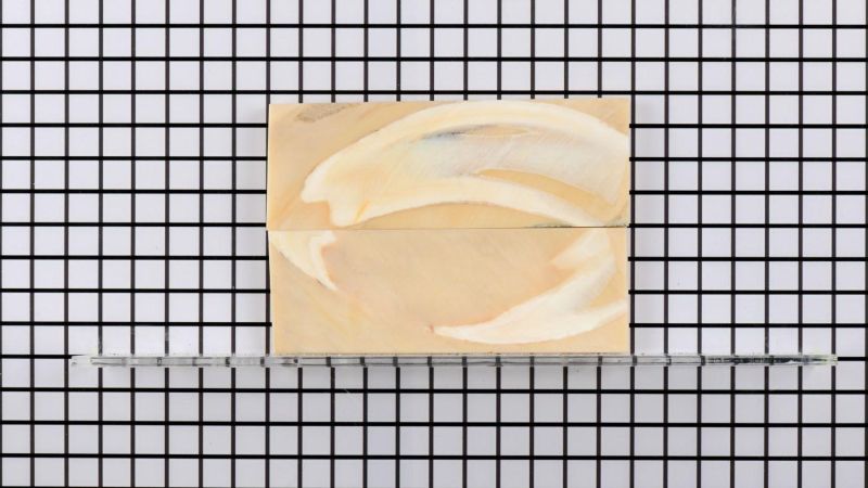 Mango de colmillo de facocero estabilizado - resina beige