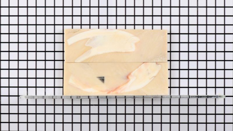 Manche de défense de Phacochère stabilisé - résine beige