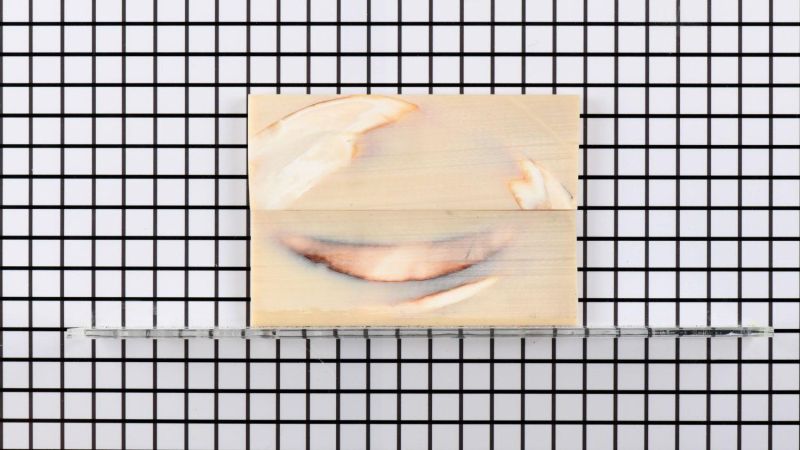 Stabilized warthog tusk handle - beige resin