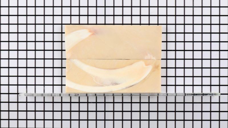 Manico in zanna di facocero stabilizzata - resina beige