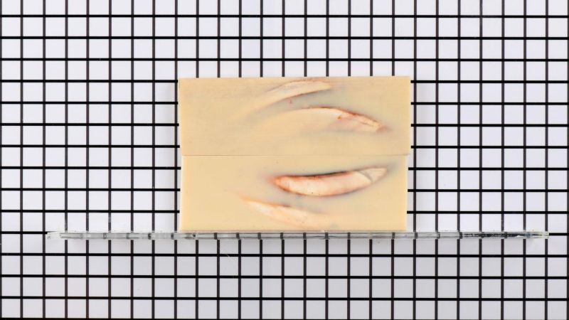 Mango de colmillo de facocero estabilizado - resina beige