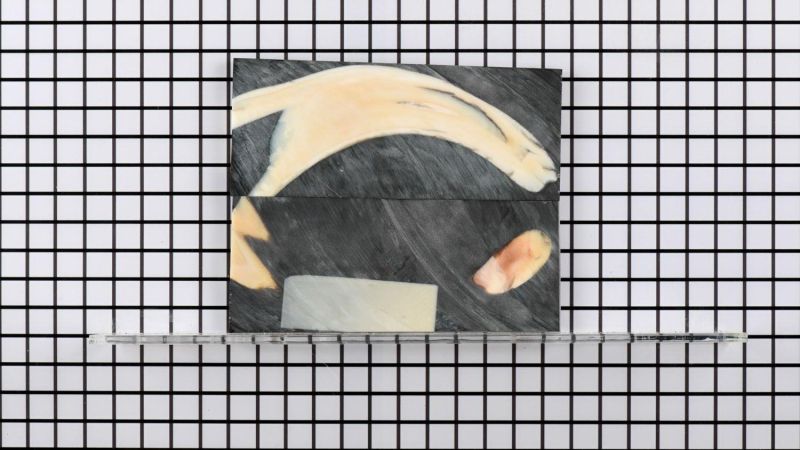 Manche de défense de Phacochère stabilisé - résine noire