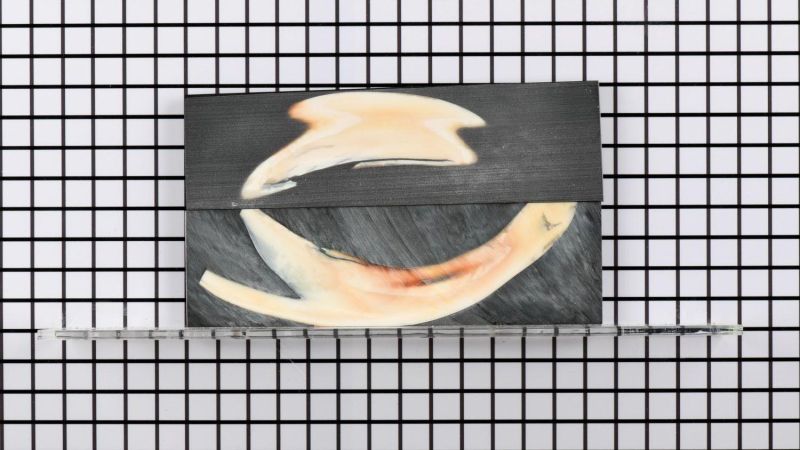 Manche de défense de Phacochère stabilisé - résine noire