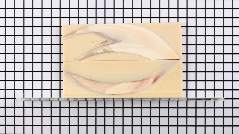 Mango de colmillo de facocero estabilizado - resina beige