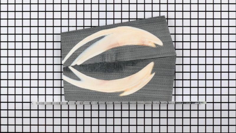 Unpolierter stabilisierter Warzenschweinzahn-Griff - schwarze Harz