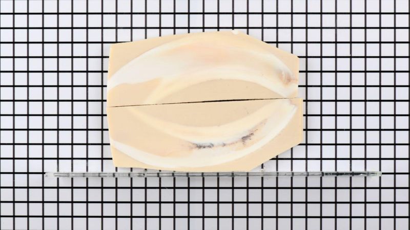 Unpolierter stabilisierter Warzenschweinzahn-Griff - beige Harz