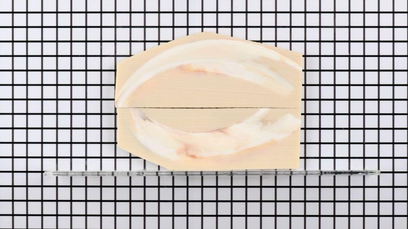 Mango de colmillo de facocero estabilizado sin pulir - resina beige