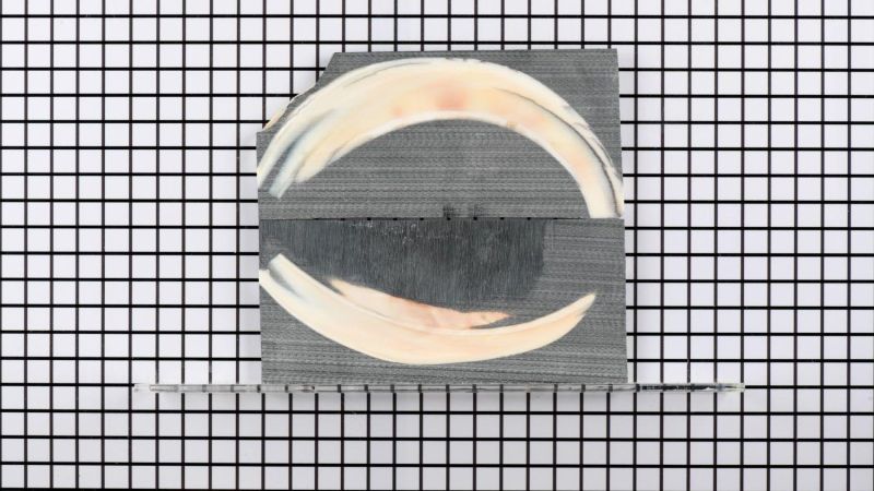 Mango de colmillo de facocero estabilizado sin pulir - resina negra