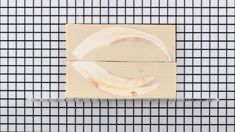 Mango de colmillo de facocero estabilizado sin pulir - resina beige