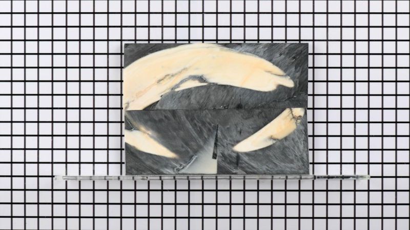 Manico in zanna di facocero stabilizzata - resina nera