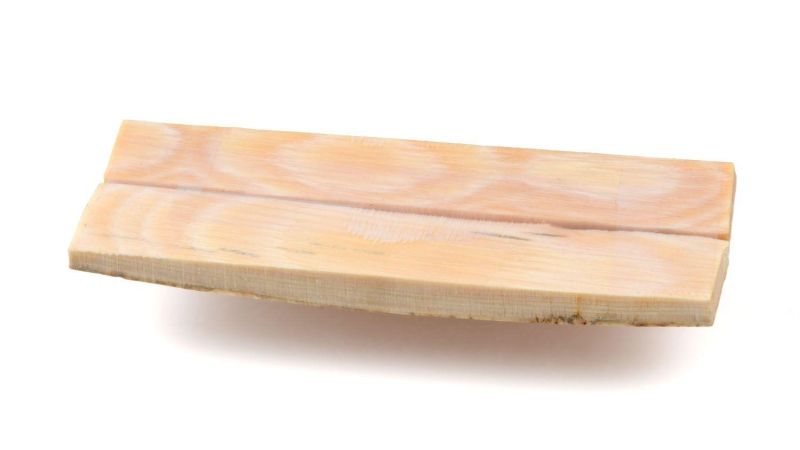 Manche Ivoire de Mammouth naturel