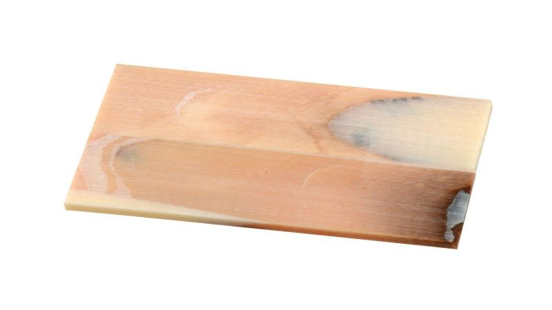 Stabilisierten Elfenbein-Mammut Pulp Griff - unpoliert