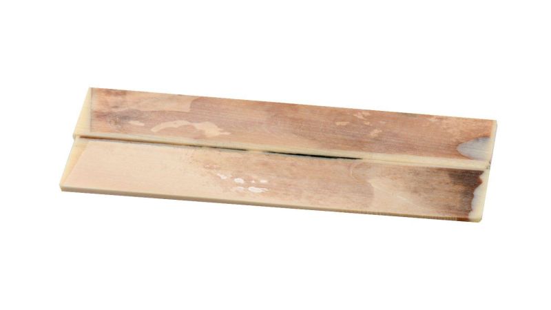 Non-Polished Stabilized Ivory Mammoth Pulp Handle